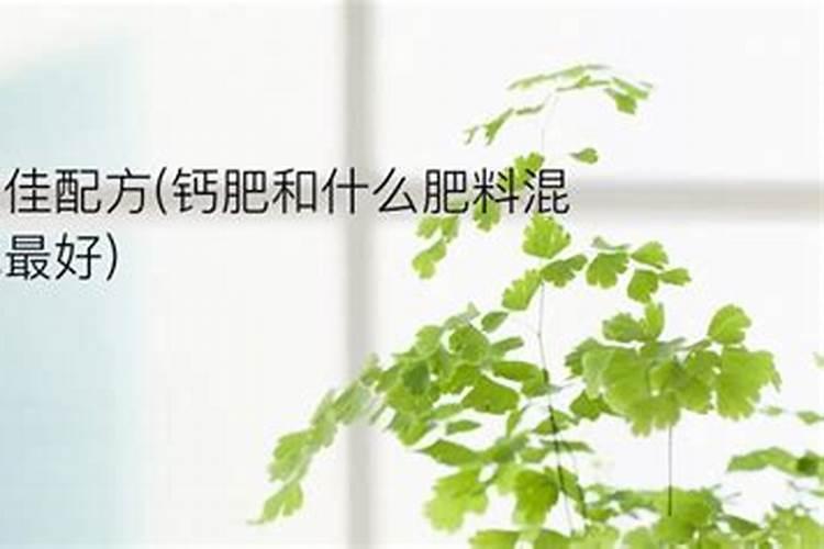 钙肥和硼肥能一起用吗