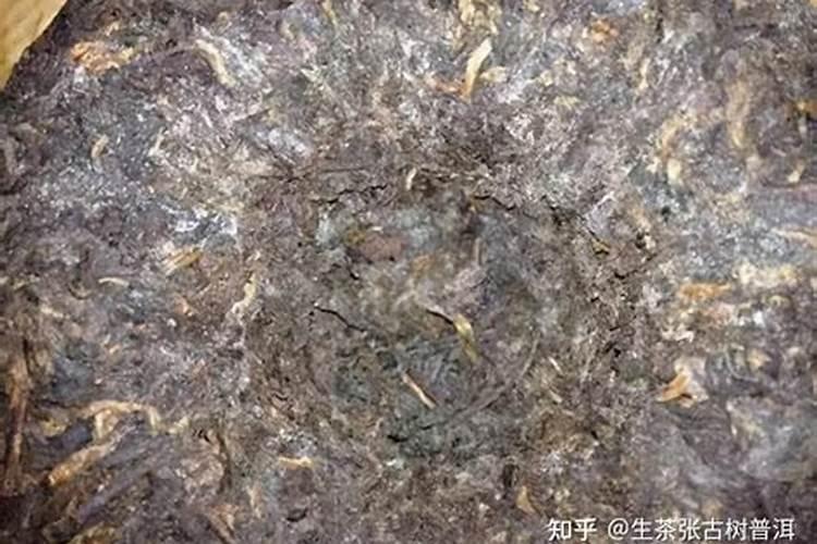 茶叶发霉了怎么拯救