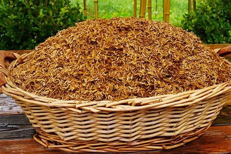 为什么氮肥壮叶磷肥壮茎钾肥壮果