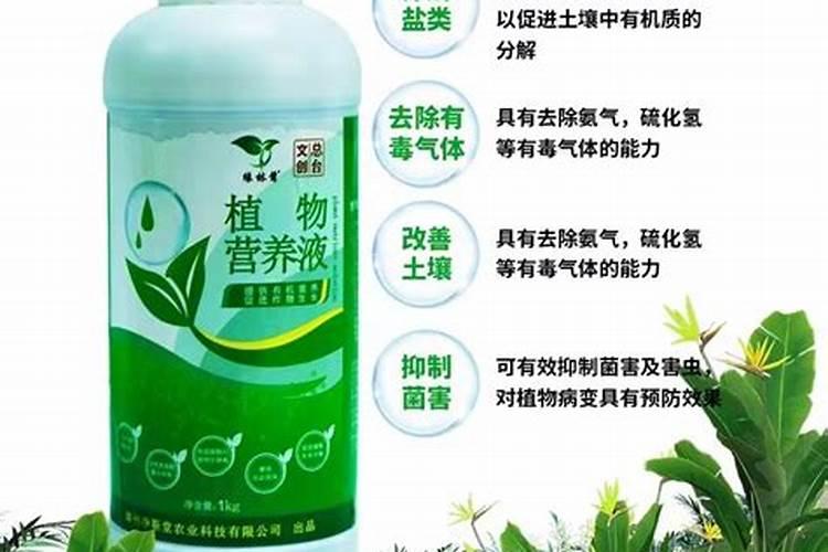 我的花里有放营养液可不可以把鱼放进去一起养？