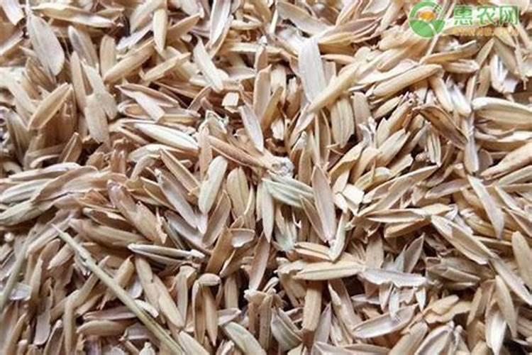 稻壳可以直接方放花盆里做花肥吗