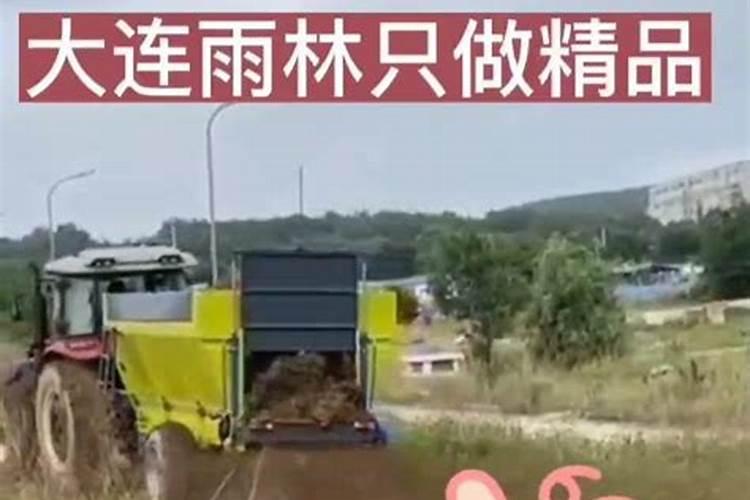 氨基酸水溶肥料的用法有哪些