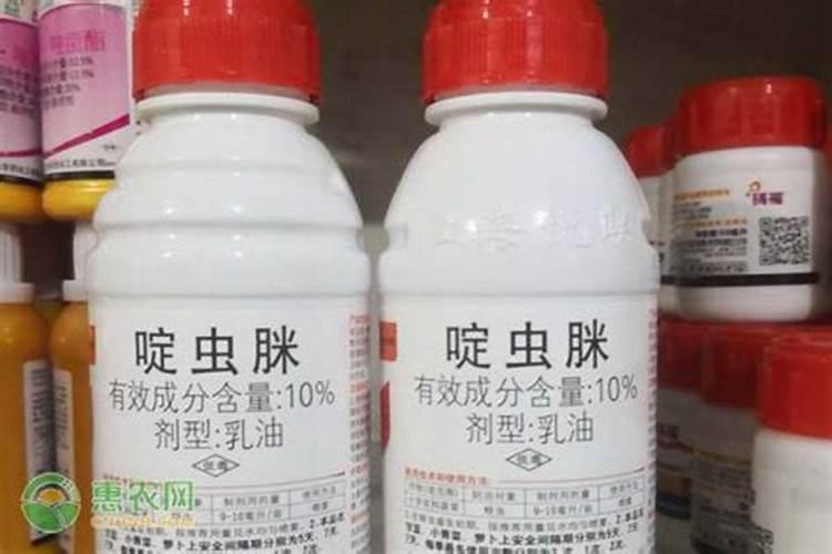 棉花白粉虱用什么药好