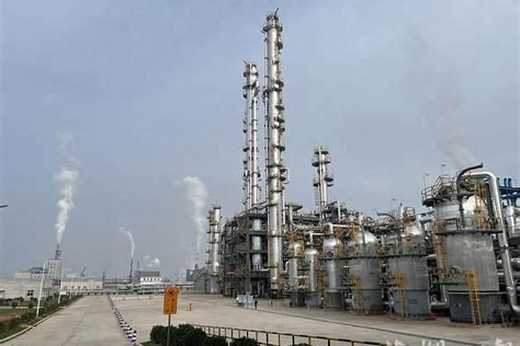 龙蟒大地农业有限公司怎么样？