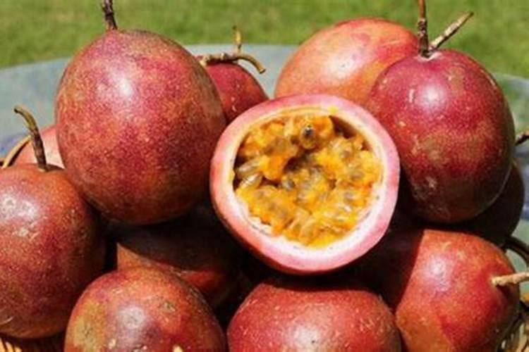 百香果浇什么肥料合适