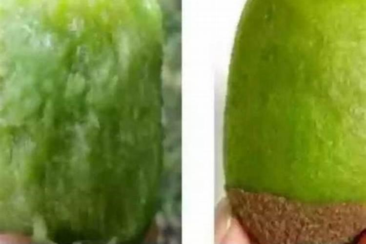 荔枝树叶面肥的制作方法