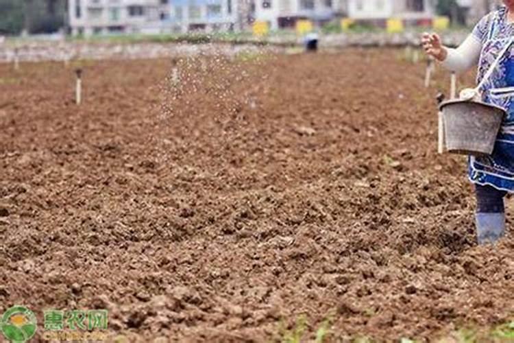 草地怎么除杂草