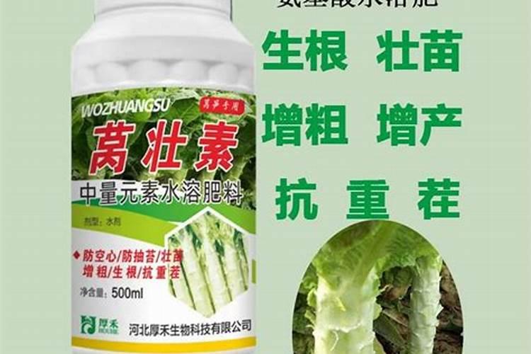 莴笋裂口能不能修复好呢