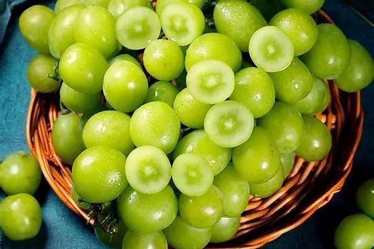 巨峰葡萄转色前喷糖醇钙好吗