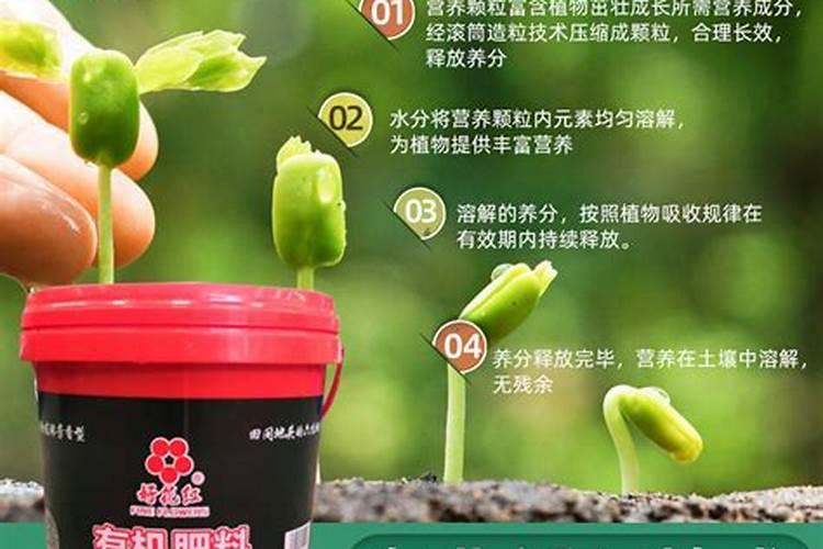 在外科补钾中,有两个什么三八原则？我只认得一个8是指的每小时补钾