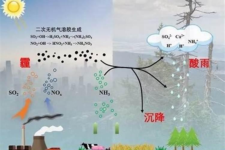 氨法脱硫的原理及工艺分析