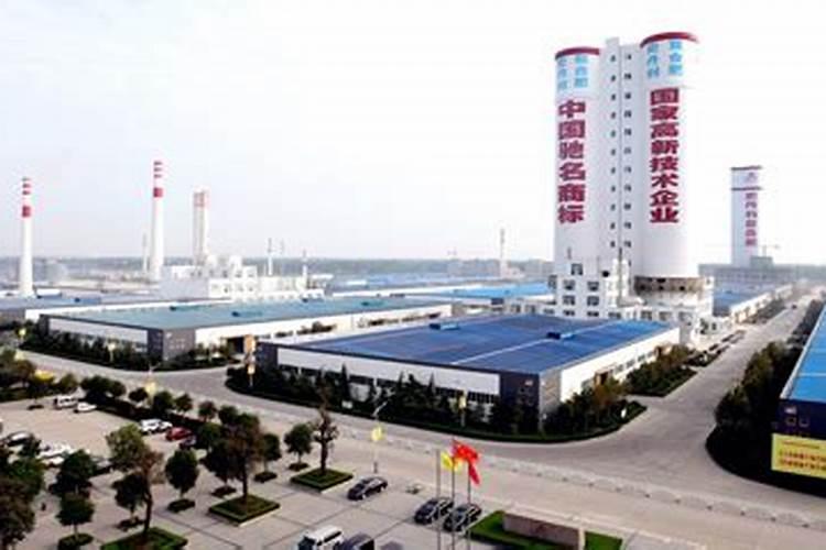 金银花产地在什么地方？