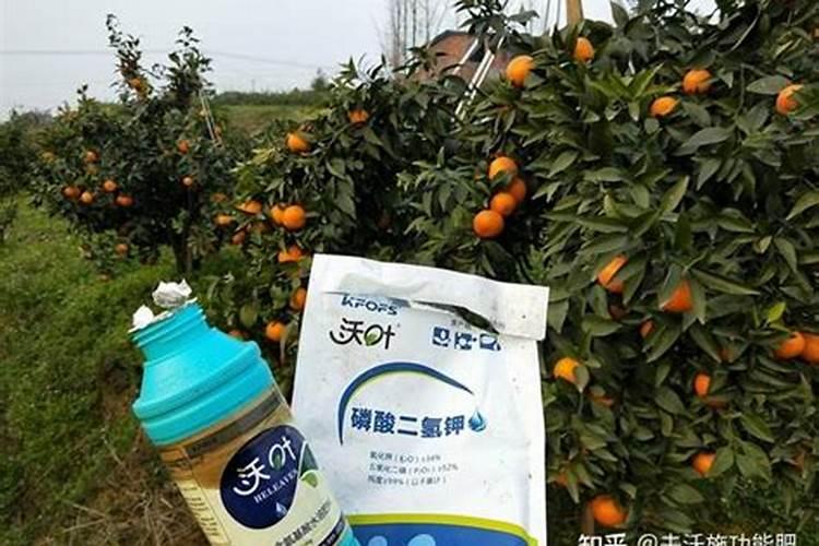 腐植酸叶面肥的具体作用是什么？什么时候用效果最好？