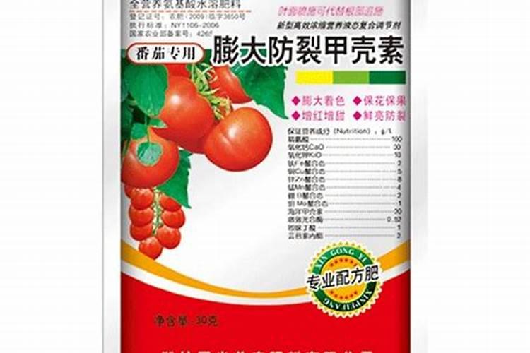 番茄青皮、绿肩到底什么原因？如何有效预防？