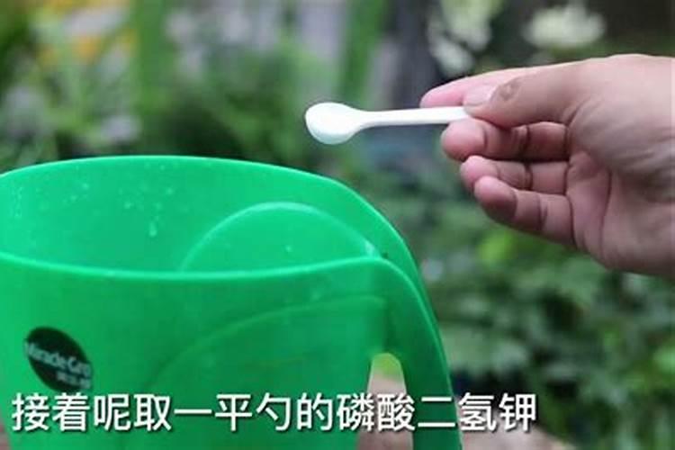 花树什么时候施肥最好