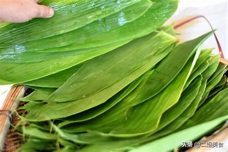 怎样清洗粽叶又简单又快