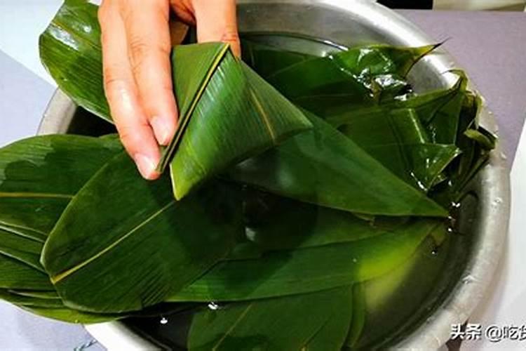 包粽子前粽叶怎么处理