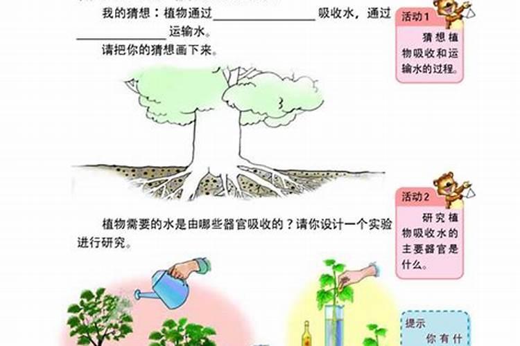小麦的桔杆在地里多长时间腐烂