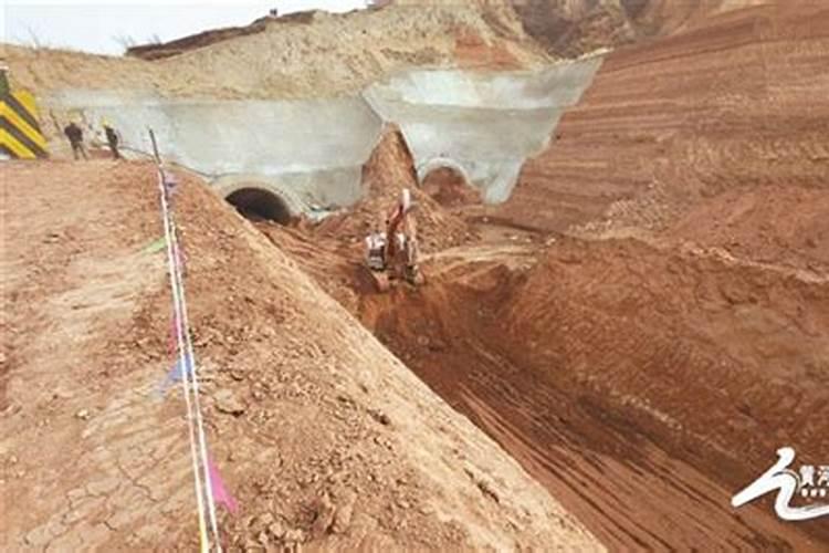 枣树施肥应该注意什么