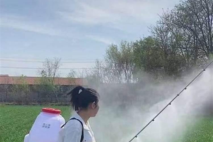 玉竹发黄用生根剂喷施有效果吗？