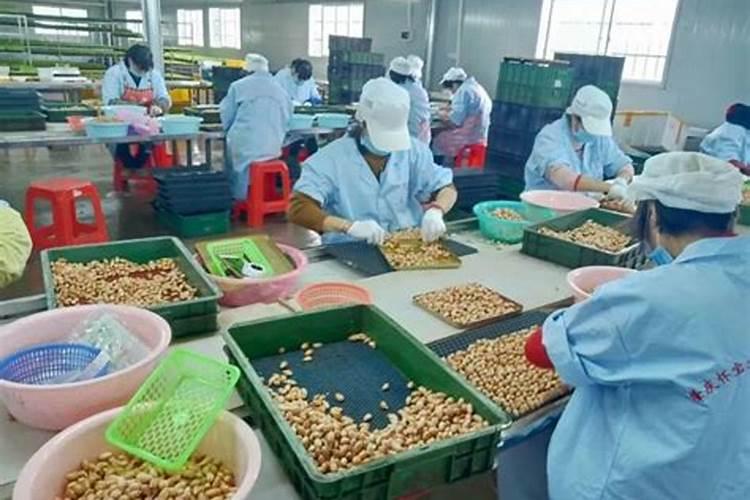 化肥厂国家特殊工种名录有哪些