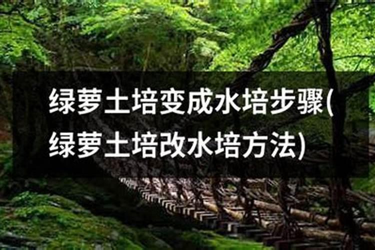 饼肥要发酵多久？