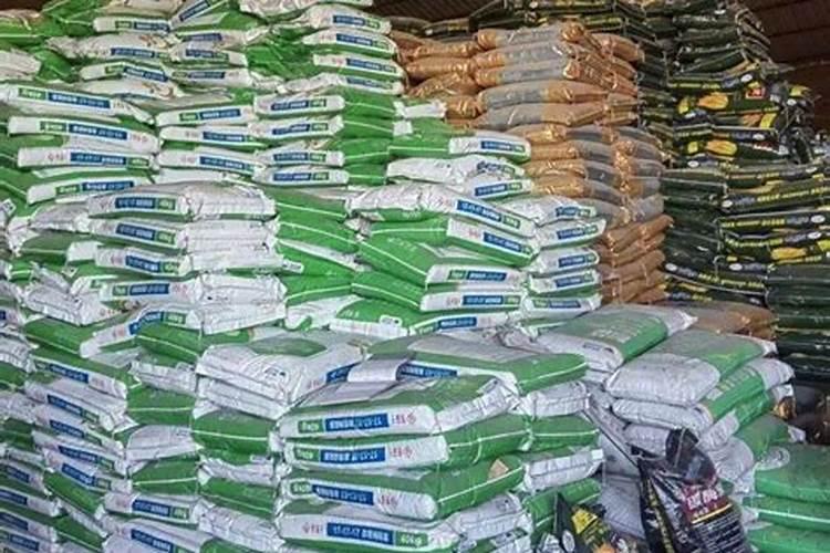 西昌克伦生葡萄冬季为什么要摘叶？