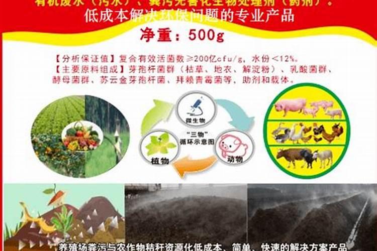 羊粪做叶面肥的配方