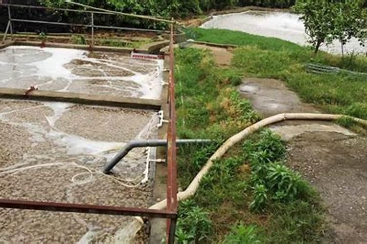 羊粪做叶面肥的配方