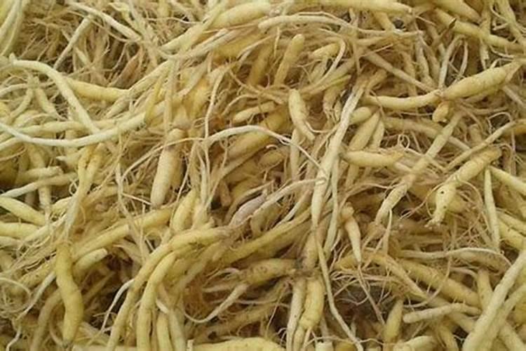 中药材地黄、枸杞、甘草、太子参什么肥料有助长根？