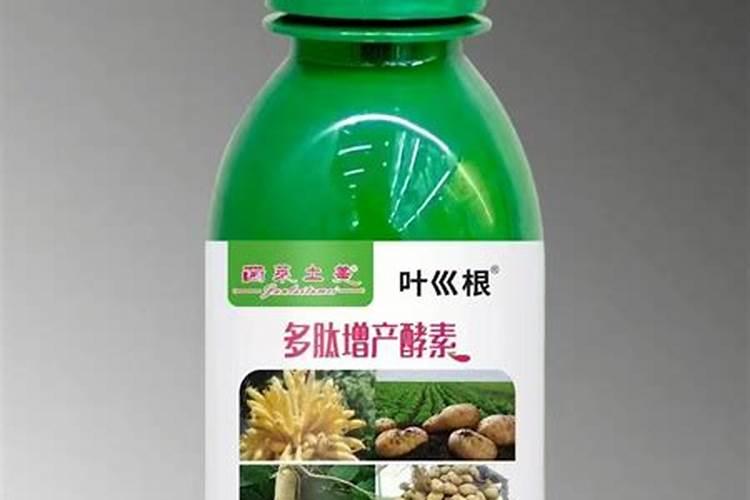 太子参种植技术