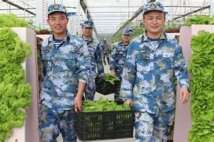 植物缺乏氮会有什么转变？