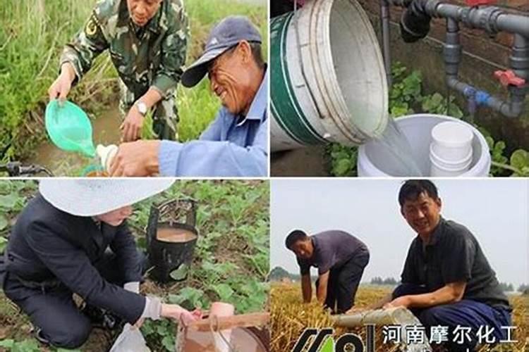 1斤水溶肥兑多少水