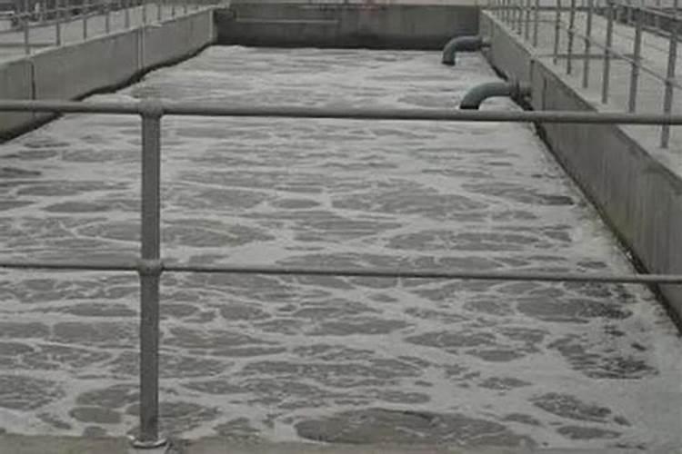 腐植酸肥料的作用