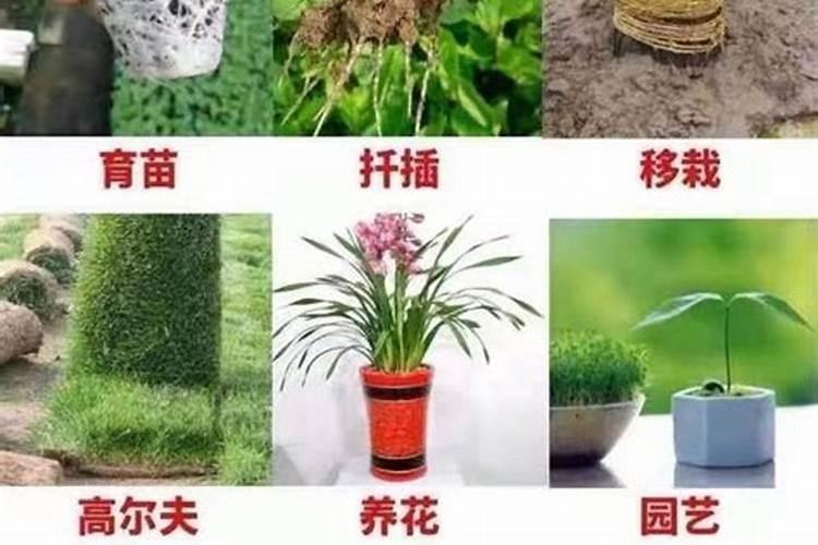 鉴别磷肥和钾肥的简易方法