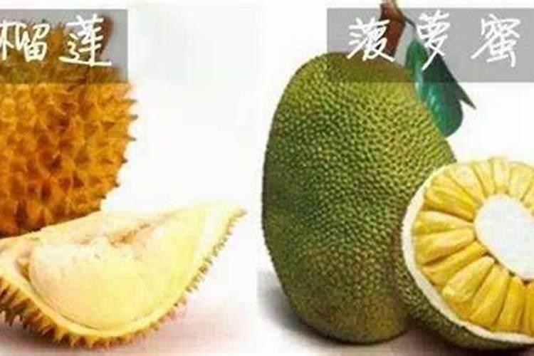 厦门中国台湾大红火龙果多少钱一棵