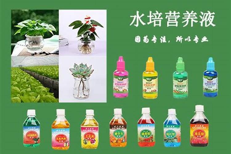 锌腐酸磷酸二铵和普通磷酸二铵哪种好？