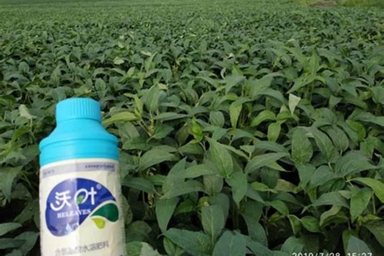 大豆喷施啥叶面肥最好