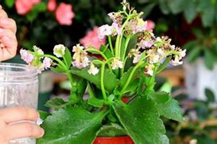 果树热天施肥可以吗