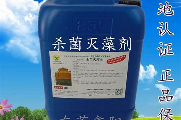 青苔怎么快速清除