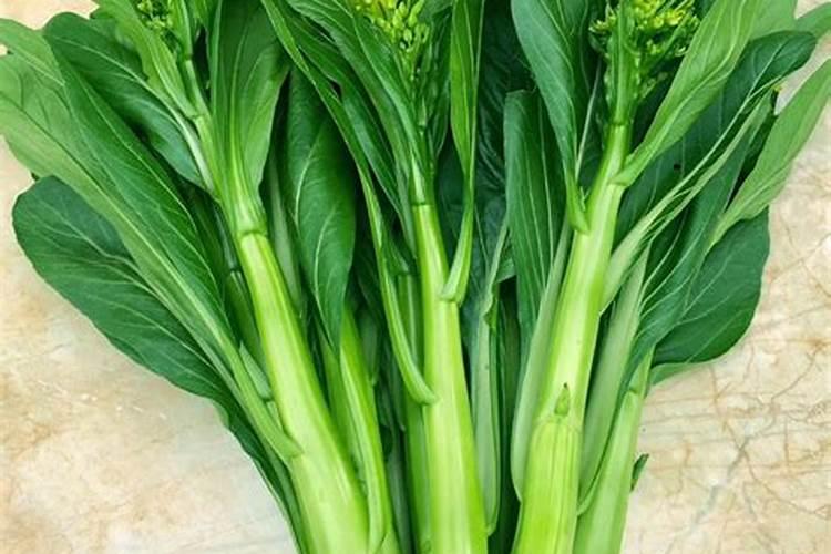 菜心用药过量有啥补救方法我的菜心叶枯萎了