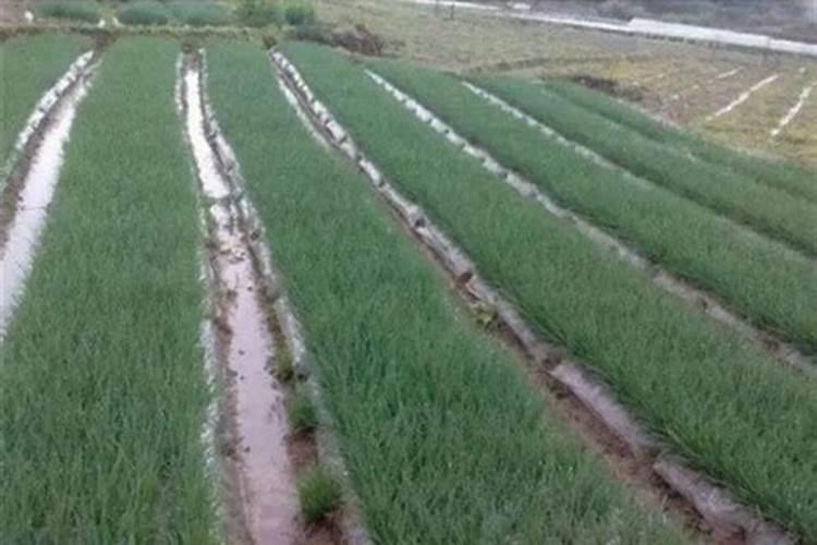 益阳市弘源生物科技有限公司怎么样？