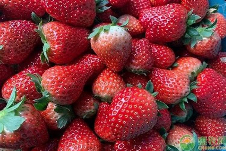 美盛黄腐酸锌水溶肥在水稻上怎么用