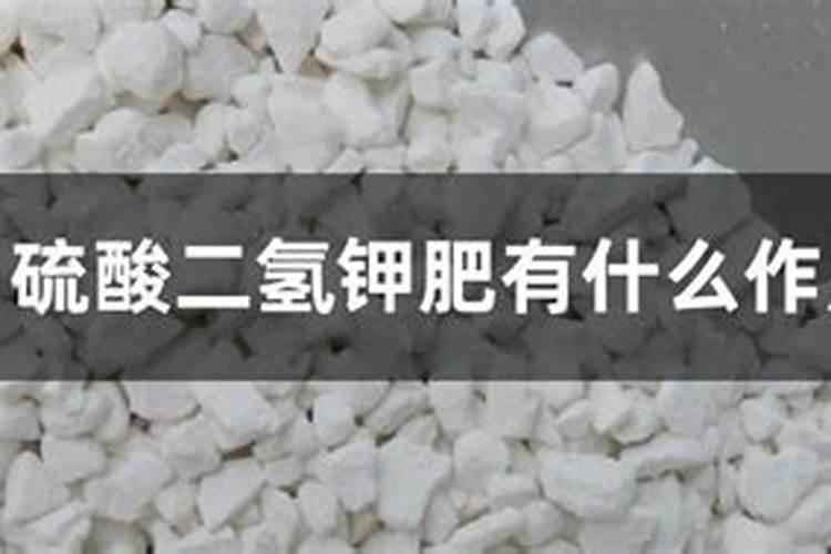 薄荷用什么肥料好