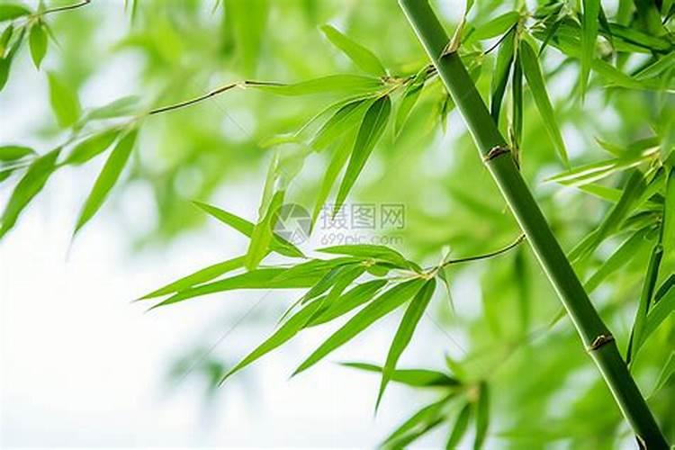 曲靖特产有哪些土特产 云南曲靖特产有哪些土特产