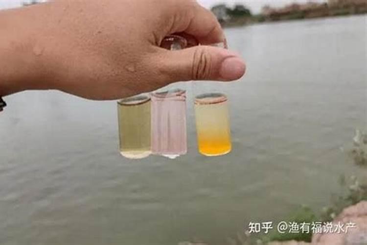 什么是氨氮？水产养殖氨氮产生、超标危害及检测控制!