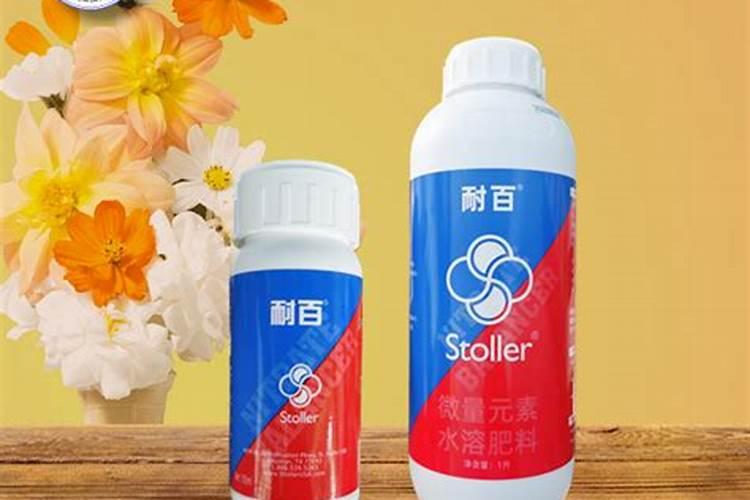 伏天黄瓜几天浇一次水