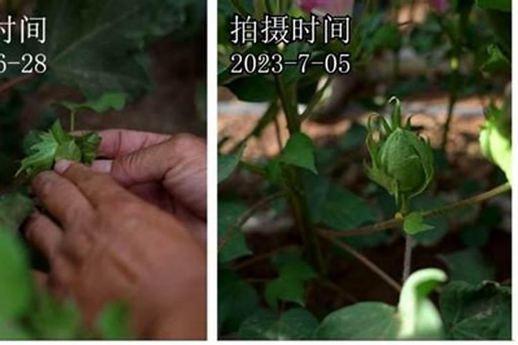 青岛海澡肥企业有哪些