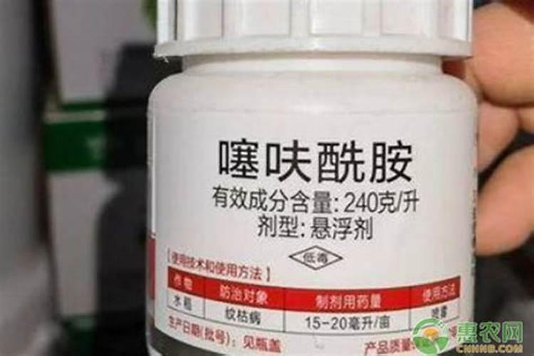 噻呋酰安可以和多效唑一块喷花生吗