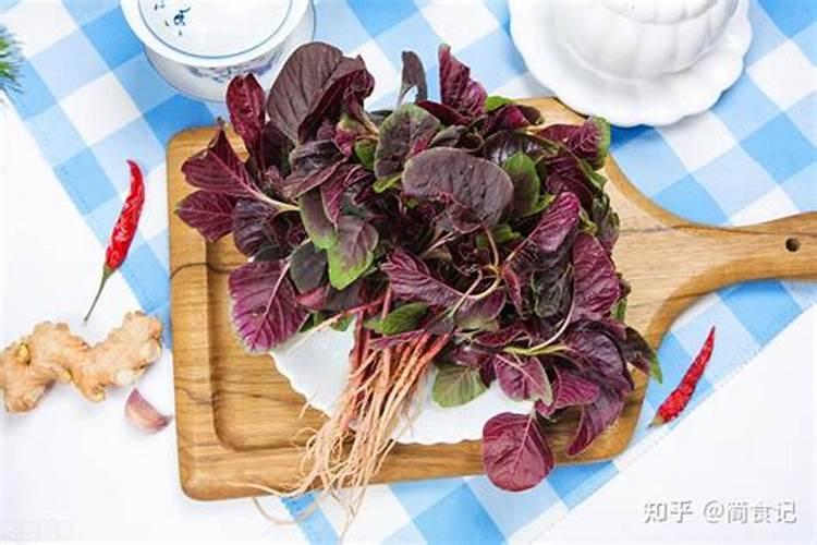 蔬菜种子适合在7月份种的有哪些